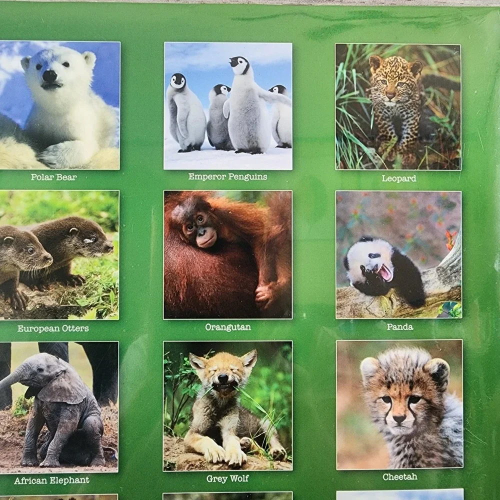 TF Publishing Baby Animals 2013 Wall Calendar New Sealed Wildlife Photography